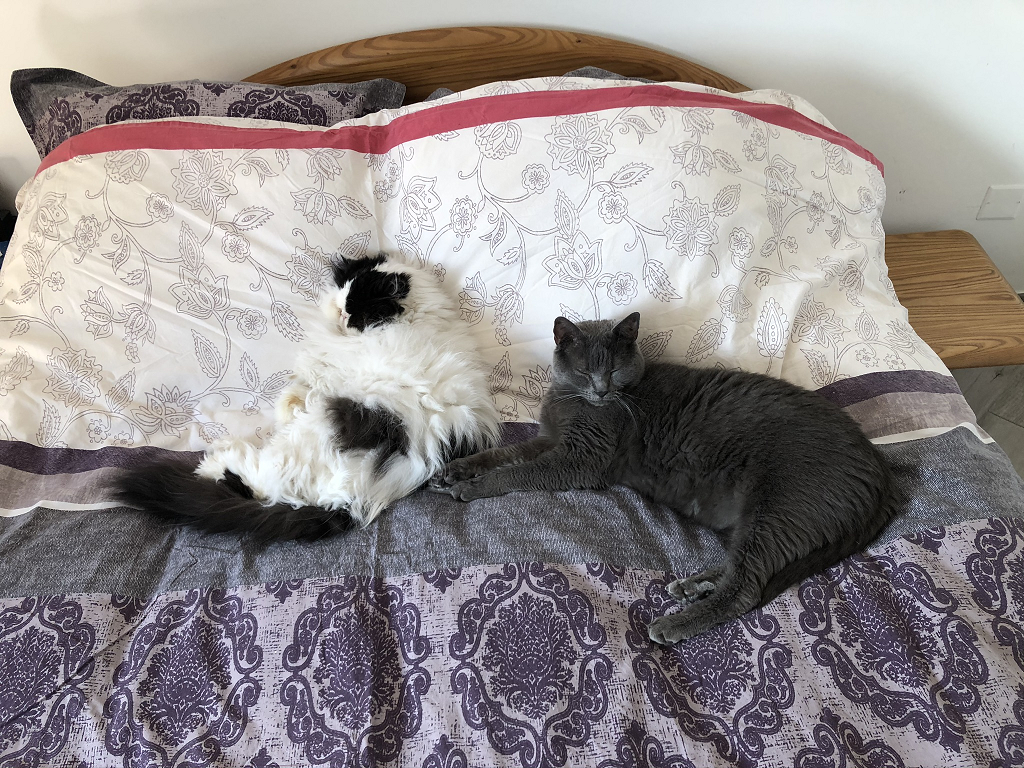 Pas d'place, pas d'place, pas d'place